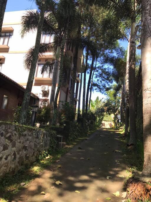 Villa Naumi Bandung Luaran gambar